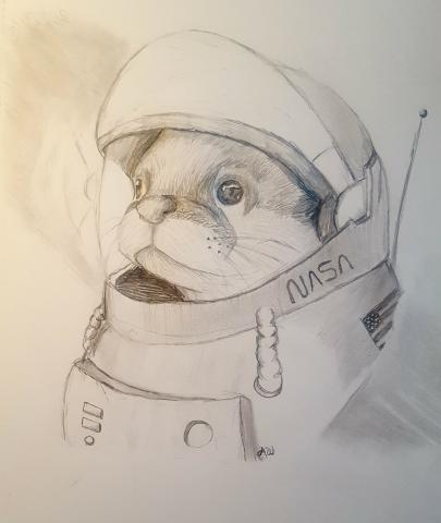 Otter wearing a space suit.