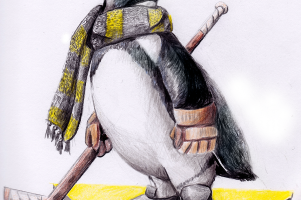 drawing of an African penguin in hockey gear.